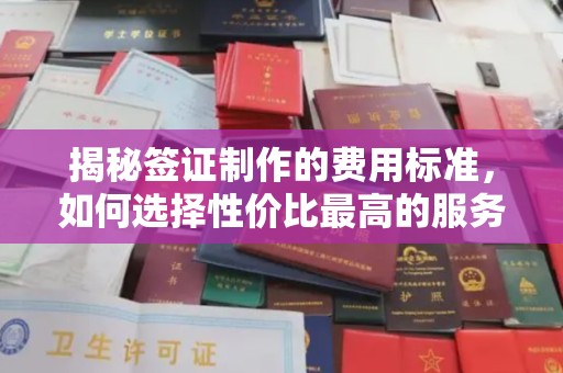 祁连揭秘签证制作的费用标准，如何选择性价比最高的服务？