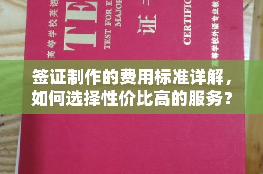 祁连签证制作的费用标准详解，如何选择性价比高的服务？